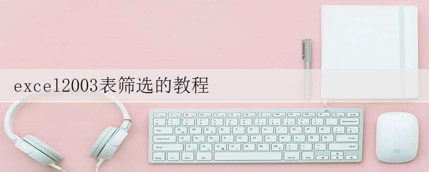 excel2003表筛选的教程
