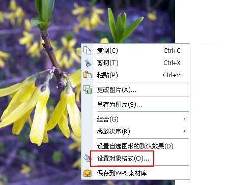 Windows使用教程,Windows系统教程,Windows优化教程