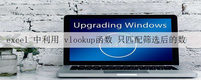 excel 中利用 vlookup函数 只匹配筛选后的数据 实现教程
