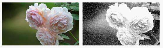 Windows使用教程,Windows系统教程,Windows优化教程