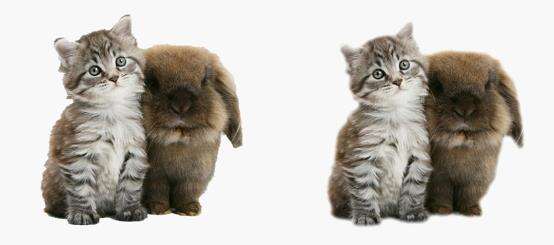 Windows使用教程,Windows系统教程,Windows优化教程