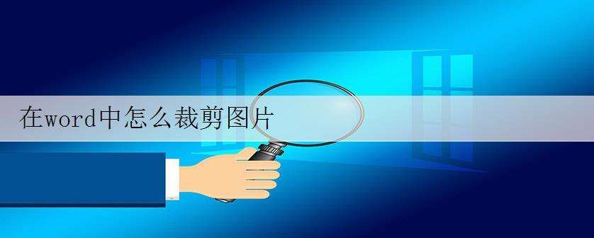 在word中怎么裁剪图片