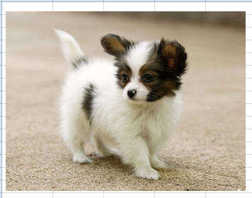 Windows使用教程,Windows系统教程,Windows优化教程