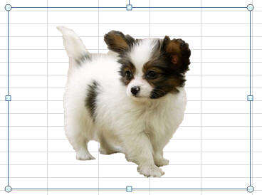 Windows使用教程,Windows系统教程,Windows优化教程