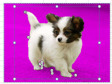 Windows使用教程,Windows系统教程,Windows优化教程