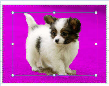 Windows使用教程,Windows系统教程,Windows优化教程