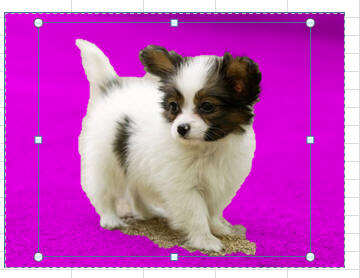 Windows使用教程,Windows系统教程,Windows优化教程