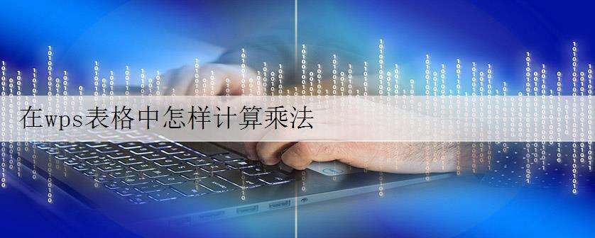 在wps表格中怎样计算乘法