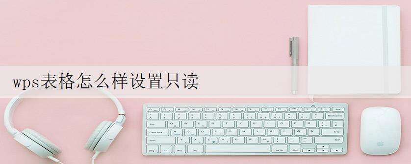 wps表格怎么样设置只读