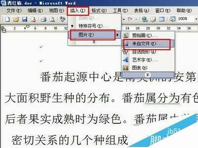 Windows使用教程,Windows系统教程,Windows优化教程