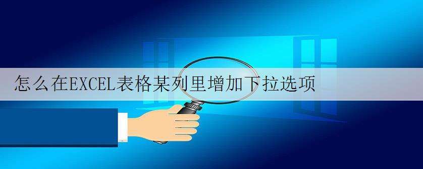 怎么在EXCEL表格某列里增加下拉选项