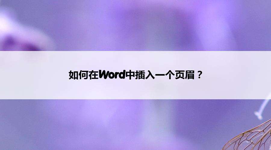 Windows使用教程,Windows系统教程,Windows优化教程