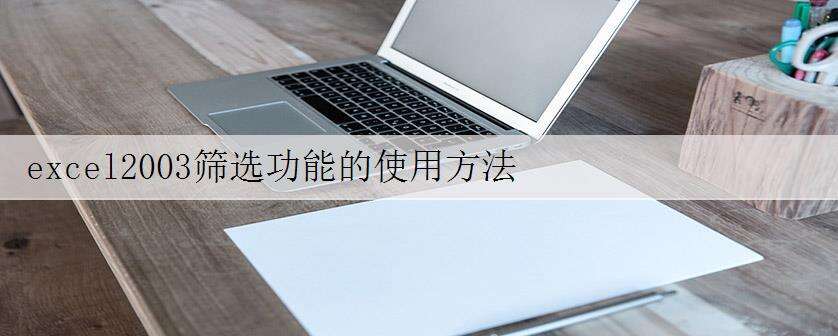 excel2003筛选功能的使用方法