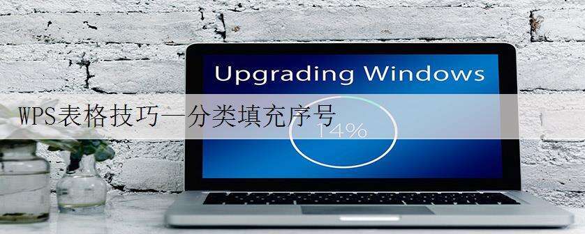 WPS表格技巧—分类填充序号