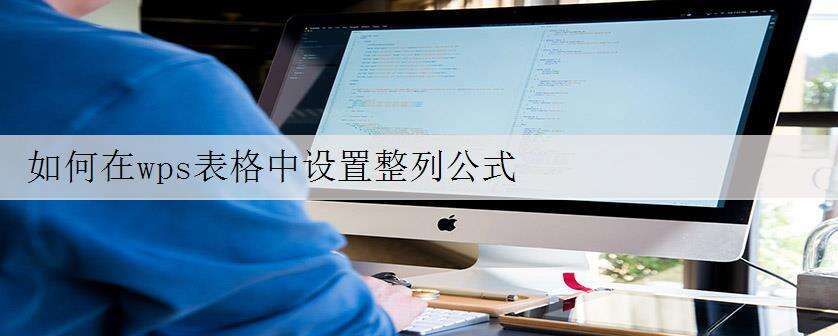 如何在wps表格中设置整列公式