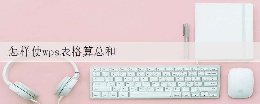 怎样使wps表格算总和