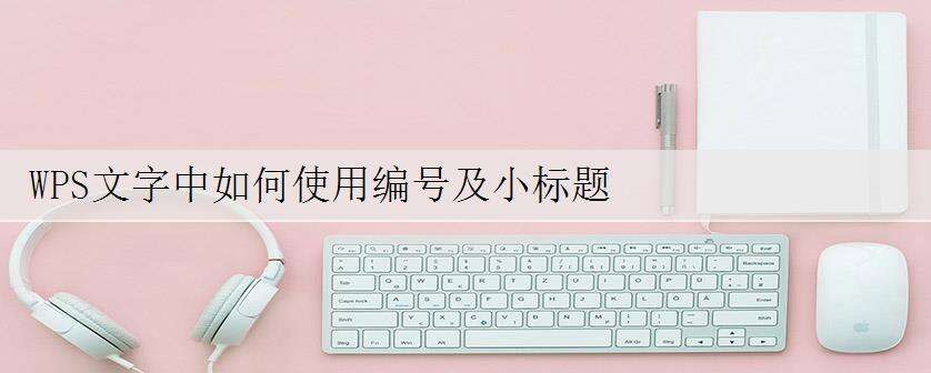 WPS文字中如何使用编号及小标题
