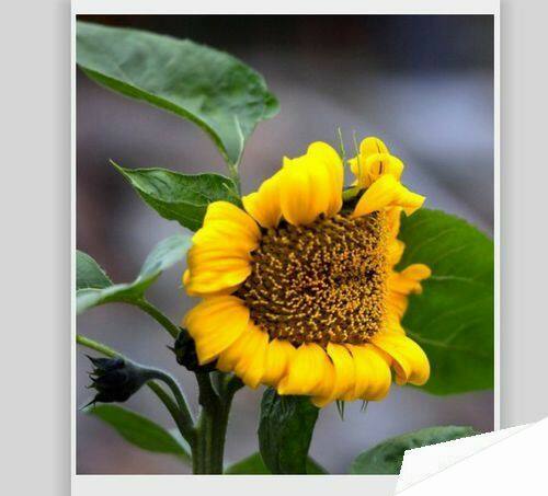 Windows使用教程,Windows系统教程,Windows优化教程