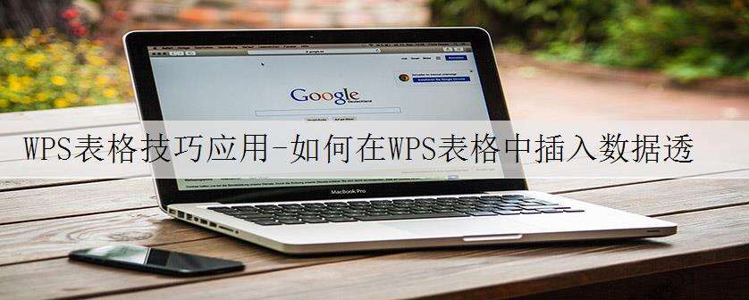 WPS表格技巧应用-如何在WPS表格中插入数据透视图