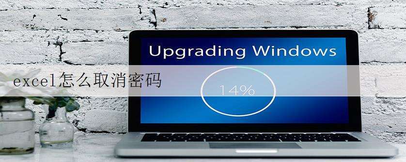 excel怎么取消密码