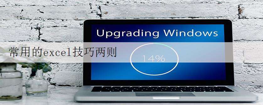 常用的excel技巧两则