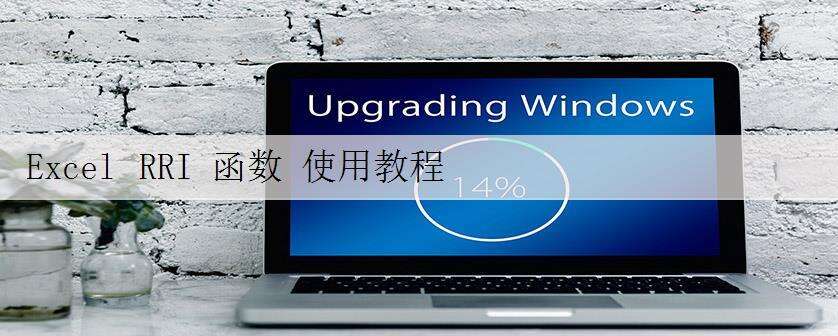 Excel RRI 函数 使用教程