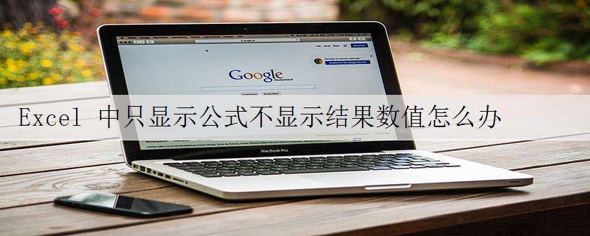 Excel 中只显示公式不显示结果数值怎么办