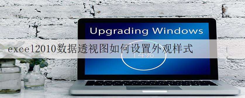 excel2010数据透视图如何设置外观样式